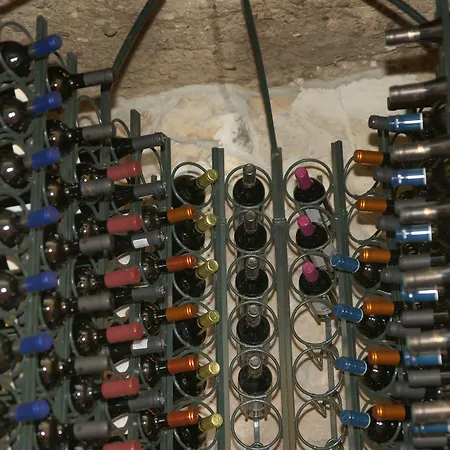 Viktoria Luise 4* ブランケンブルク